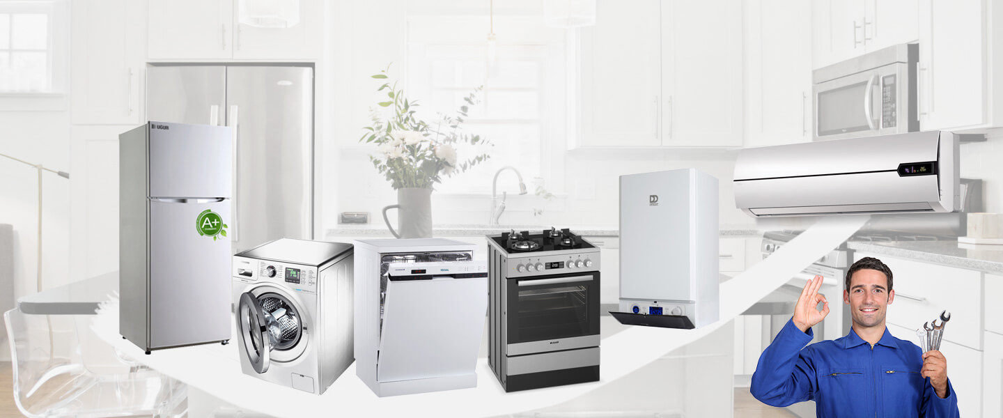 İstanbul Electrolux Servisi